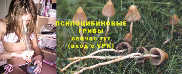 гидропоника Армянск