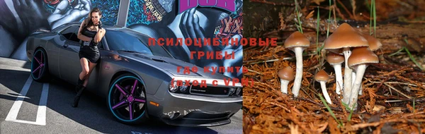 МДПВ Аркадак